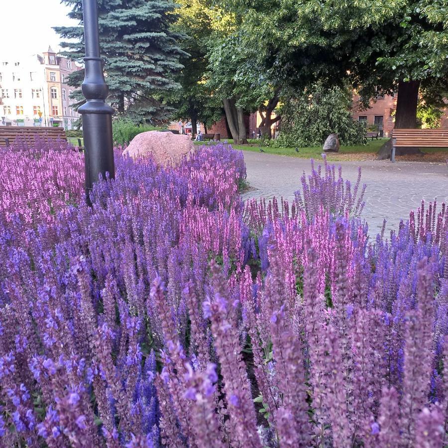 Apartament Prowansalski Z Miejscem Parkingowym Gdańsk Buitenkant foto